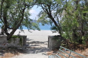 B&B Sulla Spiaggia Belmonte Calabro